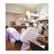 Load image into Gallery viewer, PS 8810 Signature Line